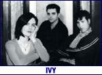 IVY (photo)