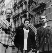 MARCY PLAYGROUND (photo)