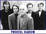 PROCOL HARUM (photo)