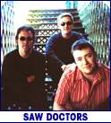 SAW DOCTORS (photo)