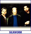 SILKWORM (photo)