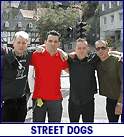 STREET DOGS (photo)
