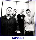 TAPROOT (photo)