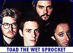 TOAD THE WET SPROCKET (photo)