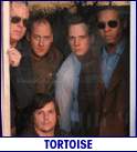 TORTOISE (photo)