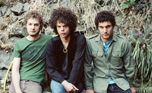 WOLFMOTHER (photo)